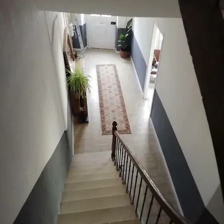 Maison Forestiere Axat